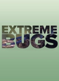 Экстремальные насекомые